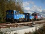 MWB-Loks V241,V250 und die ...  Mirko Schmidt 15.10.2009