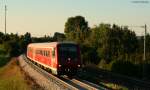 611 025-8 als RE 22317 (Rottweil-Neustadt(Schwarzw) bei Rottweil Saline 23.8.09 ...