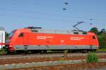 BR 101 Werbelokomotiven 101 004-0 im Lokportrait an IC 2293. Sie war von 2000 bis 2001 mit der Werbung 'CMA - Genie�en auf gut Deutsch - Fleisch aus unseren Regionen' in Teilbeklebung unterwegs. Jetzt wirbt sie (immer noch) f�r das 'neue' Preissystem der Bahn. (Bickenbach, Mai 2009). 