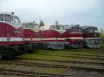 Diverse DR-Dieselloks stehen am Tag des DR-Dieselloktreffens (wer h�tte s gedacht?) ...