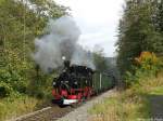Presnitztalbahn Am Ortsrand von Steinbach konnte 99 590 mit ihrem Personenzug am 03.10.2009 aufgenommen werden.
