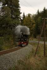 Presnitztalbahn Am 03.10.09 war 99 590 Zwischen Steinbach und Schmalzgrube unterwegs.