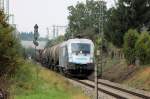 Der Siemens-Stier (1116 038) am 19.09.09 an der Xaver-Weismor-Str in ...