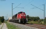 BR 294 294 658-0 mit ihrem Kurzg�terzug an der Bk Basheider 24.8.09