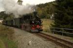 Presnitztalbahn Am 03.10.09 war 99 590 Zwischen Haltepunkt Forellenhof und Bahnhof Schmalzgrube unterwegs. 