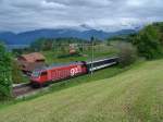 Re 460 038-3 mit der Werbung Stratego! am 14.5.05 in ...
