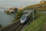 Die Entenjagt war halbwegs erfolgreich, denn der (noch)CIS ETR 610 ...