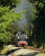 Presnitztalbahn Das frontal auf die Lokfront fallende Licht, gab der Szenerie im 'tiefen' Erzgebirgswald am 30.08.2009 nahe Schmalzgrube eine, wie ich finde, besondere Stimmung.