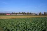 In der Mittagssonne des 27.10.09 f�hrt IR 2124 durch T�gerwilen. ...