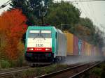 Vorbei an herbstlich bunten B�umen meistert die Cobra 186 218 ...