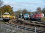 V 320 mit ALEX ...  Thomas Graf 30.10.2009