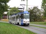 CBV. Nr.141  GWC  befindet ...  Felix H�hne 30.10.2009