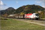 1116 246 Bundesheer f�hrt ...  Leitner Thomas 01.11.2009