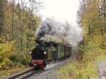 Presnitztalbahn Die letzten regul�ren Fahrten der I K Nr.54 im Jahr 2009 fanden am 24./25.10.09 statt.
Nahe Steinbach strebt die kleine Lok weiter in Richtung J�hstadt.