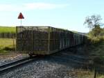Zuckerrohrbahnen Ein voller Zuckerrohrzug hat gerade einen Bahn�bergang �berquert f�hrt nun am 5.7.2009 in Richtung Mackay. Die Z�ge sind sehr lang und sehr langsam, so dass man viel Geduld braucht wenn man an einem Bahn�bergang steht. Im Hintergrund sieht man ein Zuckerrohrfeld.