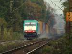 Die einen rauf, die ...  Mario Sch�rholz 01.11.2009