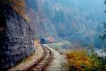 bregenzerwaldbahn Dies ist ein Foto der Bregenzerwaldbahn als sie noch im Vollbetrieb war, also vor der Einstellung 1980.

Ein Sonderzug f�hrt bei km 6,4 zwischen Kennelbach und Doren-Sulzberg. Das Foto stammt vom 14.10.1972 und wurde mir von meinem Onkel �berlassen, der das Foto gemacht hat. 

Weitere Bilder sind auf meiner Homepage http://bwb.die-hammis.at



