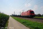 br-1116-vor-guterzugen 1116 155-1 mit einem fast leeren Containerzug,auf dem Weg nach Linz,Pasching (�sterreichurlaub 18.08.09)