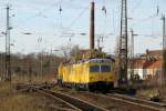 BR 704 (7 Fotos)