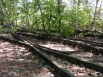 Berlin,Naturpark Sch�neberger S�dgel�nde.Hier eine ...  Peter Walter 01.06.2005