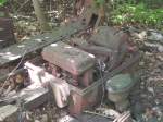 Berlin,Naturpark Sch�neberger S�dgel�nde.Hier ein ...  Peter Walter 01.06.2005