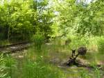 Berlin,Naturpark Sch�neberger S�dgel�nde.Hier ein ...  Peter Walter 02.06.2005