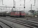 Yverdon-les-Bains im R�benverkehr: In den Herbst und Wintermonaten sind der ...