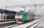 Rzepin (Reppen) (13 Fotos)
