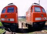 232 674-2 und 233 321-9 am 16.05.2005  ...