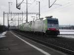 BLS Re 486 Doppeltraktion ...  Dominic Wyss 21.02.2010