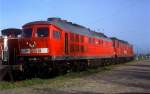 BR 241 (116 Fotos)