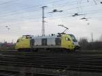 182 der PEG Richtung ...  J�rg Thalmann 23.12.2005