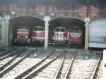 br-219-dr-119 Parade der Go�dieselloks im SEM. V60 1120, V180 141, 118 782 und 219 003