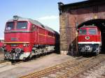 br-220-dr-v-200-dr-120 Beide russ. Gro�dieselloks des SEM nebeneinander am Lokschuppen 
