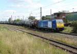 NOB (Connex) 146 519-4 ...  Steffen Schulz 15.07.2006