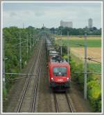 br-1116-vor-guterzugen 1116 075 am 4.8.2006 mit einem G�terzug von Wien Zvb kommend kurz nach Pottendorf-Landegg nach Ebenfurth.
