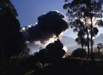 sonstige 19A 1970 im Gegenlicht bei Swellendamm