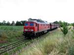 BR 232 mit Zugen 232 455 mit CS 61905 vor Mumsdorf (15.07.2006)