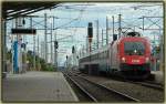 1116 231 bespannte am ...  Hanspeter Reschinger 21.08.2006