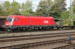 Ein echter Stier... �BB ...  Juergen Borngiesser 17.09.2006