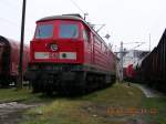 233 295 im Aussengel�nde ...  Frank Kropp 26.09.2006