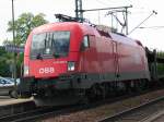 1116 239 3 mit ...  Dominik Pfeffer 19.10.2006