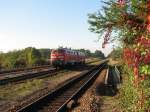 217 019 und 217 ...  Mirko Kiefer 06.11.2006