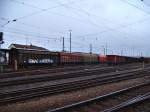 Hier sieht man ein ...  P.F. 08.01.2007