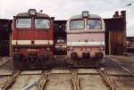 voller Schuppen 2 1995 ...  Thomas Postier 12.01.2007