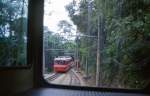Corcovado-Bergbahn: Der ...  Hans-J�rg Putzbach 22.02.2007