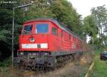 Gr�ne H�lle - Die ...  Oliver Mahlich 24.02.2007
