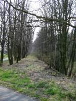 ex KBS 529 (Muldentalbahn) (5 Fotos)