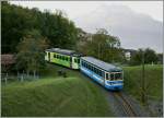 TPC Transports Publics du Chablais (271 Photos)