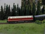 Diesellokomotive BR 119 131-3 DR mit einen Personenzug am Haken ...